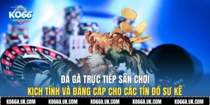 Đá Gà Trực Tiếp